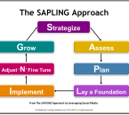 The SAPLING Approach to Leveraging Social Media